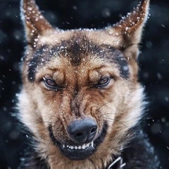 Zhanibek Sametov, 13.10, Актобе