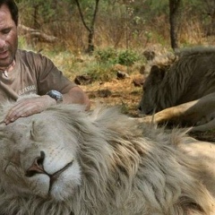 Алихан Саламов, 12.11.1993