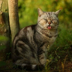 Alina Kanygina, 27.06