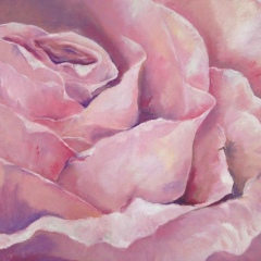 Asa Sinss, Бишкек