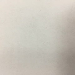 Анастасия Колчина, Казань