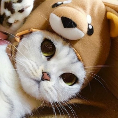 Мамед Агаев