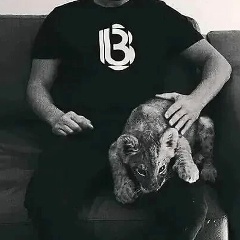 Шамиль Примов, 20.04.1994, Москва