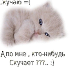 Андрей Козлов, 31.08, Боярка