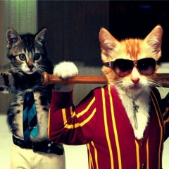 Антон Степанов, 28.09