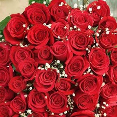 Наталі Наталі, Дрогобыч