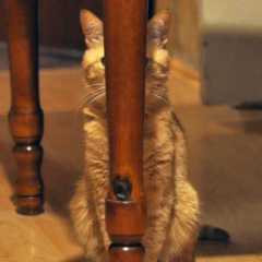 Сергей Кононенко, 29.11, Ростов-на-Дону