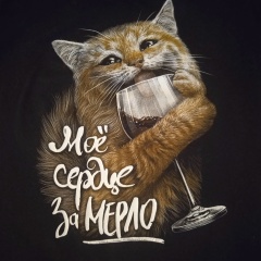 Галина Галлюцинация, Санкт-Петербург