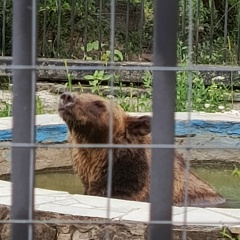 Дашуля Линдинау, 18.01, Тольятти