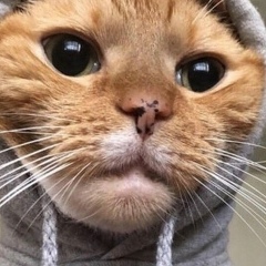 Александр Фомин, 15.03