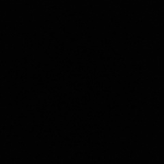 Денис Косяк, 06.12.1993, Санкт-Петербург