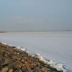 Александр Максимов, Печора