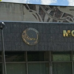 Никита Щукин, 20.02.1996, Москва