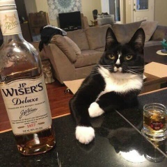 Тамила Даудова, 10.03.1998, Санкт-Петербург