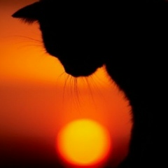 Мария Дегтярева, 12.09.1985, Николаев