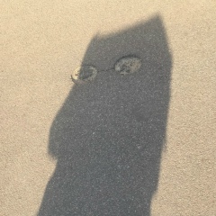 Джеймс Хорн, Санкт-Петербург