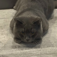 Алексей Богатов, 18.08, Улан-Удэ