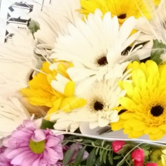 Антонина Тендитник, 02.08.1993, Москва