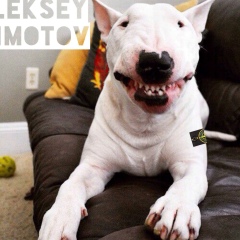 Алексей Шмотов, 27.08.1991, Киев