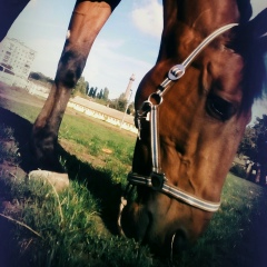 Дима Богданов, 20.06, Одесса