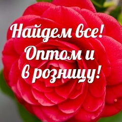 Айдана Мырзалиева, 25.06.1990, Алматы