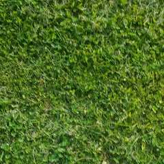 Элла Эренценова, 05.03