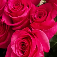 Лианочка Тукбаева, Бурибай