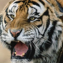 Юрий Китаев, 06.10, Днепр (Днепропетровск)