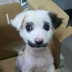 Слава Московский, 06.05, Москва