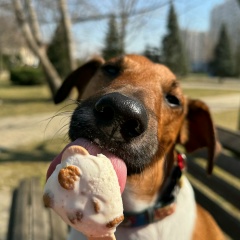 Юлия Домашева, 28.06.1989