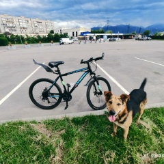 Нурбек Казбеков, Алматы