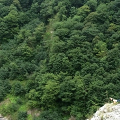 Муслим Пицаев, 24.04.1990, Грозный