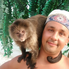 Андрей Овсянников, Киев