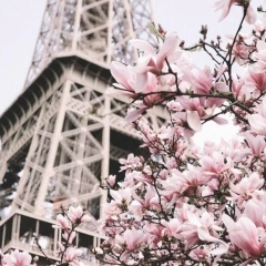 Мадина Кокожева, 05.09.1990, Нальчик