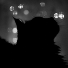 Ольга Махаёва, 04.02, Симферополь