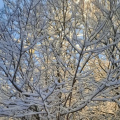 Ольга Смирнова, 25.09.1968, Санкт-Петербург