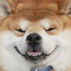 Яков Жихарев, 10.02.1987, Санкт-Петербург