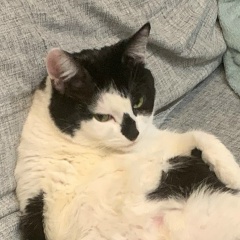 Анна Курынова, Казань