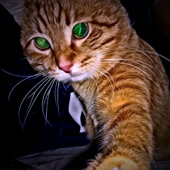 Евгений Местнев, 28.09