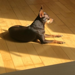 Anastasia Prudius, Москва