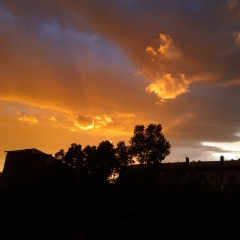 Екатерина Петрова