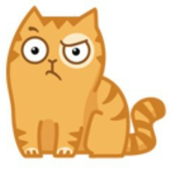 Хочувсезнать Всевсе, 01.02, Киев