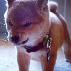 Александр Ким, 05.01, Астана