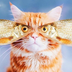 Александр Моисеев, 14.05.1988, Самара