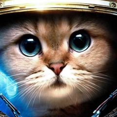 Ренат Агисов, 14.07.1992, Астрахань