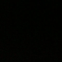 Дмитрий Богданов, Киев