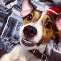 Алексей Грешнов, 20.06, Москва