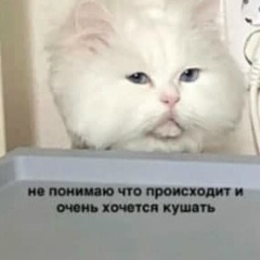 Диана Исакова, 27.03.2000