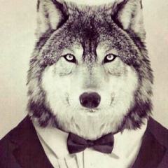 Ilias Chermoev, 20.10, Bruxelles