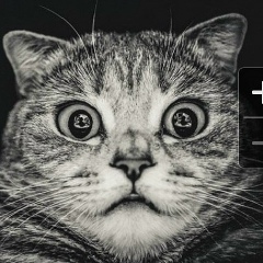 Родинка Родионова, 01.05.1988, Москва